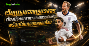 เว็บแทงบอลครบวงจร