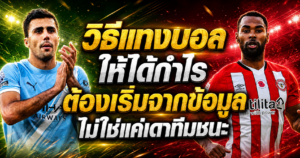 วิธีแทงบอลให้ได้กำไร