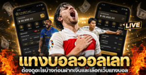 แทงบอลวอลเลท