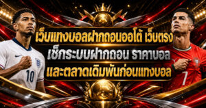 เว็บแทงบอลฝากถอนออโต้